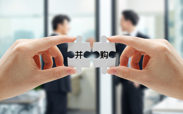 戰(zhàn)略投資與并購：拓展企業(yè)規(guī)模，增強(qiáng)市場(chǎng)競(jìng)爭(zhēng)力