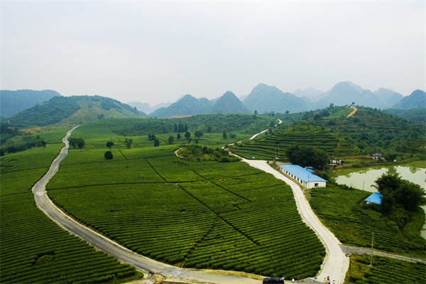 清遠(yuǎn)管理咨詢機(jī)構(gòu)的定制化服務(wù)方面包含哪些內(nèi)容？