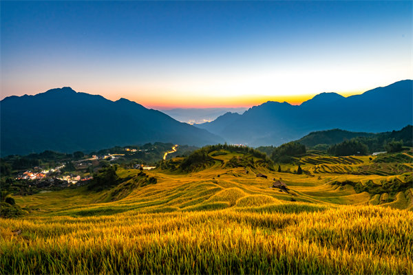 定制化管理咨詢方案：麗水企業(yè)轉(zhuǎn)型升級(jí)的鑰匙？