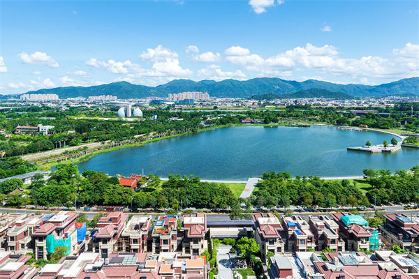 漳州戰(zhàn)略咨詢公司如何為企業(yè)定制長遠發(fā)展藍圖？