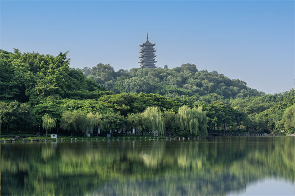 如何評(píng)估佛山集團(tuán)管控咨詢公司的服務(wù)質(zhì)量和效果？