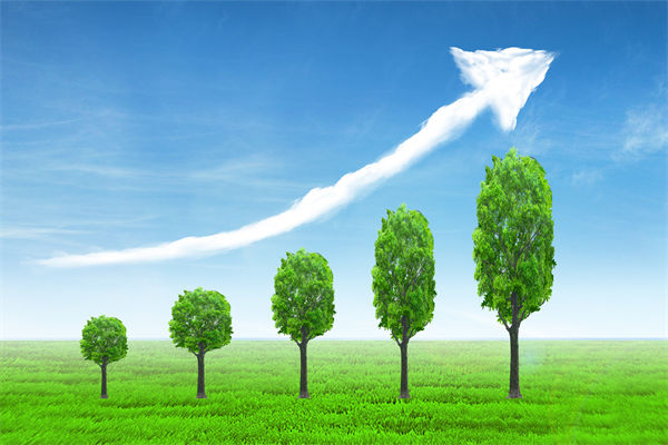 植樹就是植未來，對企業(yè)的戰(zhàn)略規(guī)劃有哪些啟示？