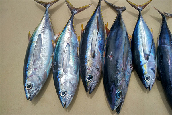 商務(wù)部：將幫助外貿(mào)企業(yè)擴寬內(nèi)銷渠道，政策解讀！