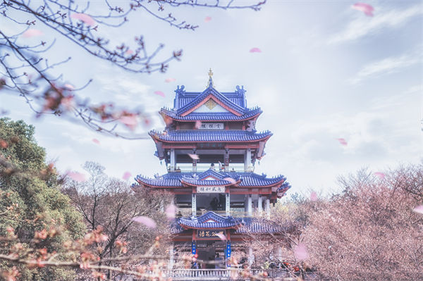供應(yīng)鏈成本居高不下，無(wú)錫供應(yīng)鏈咨詢公司如何精準(zhǔn)砍出利潤(rùn)空間？